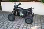 Quad ATV Bashan BS250s 11B 250cc