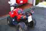 Quad ATV DINLI 100 ccm