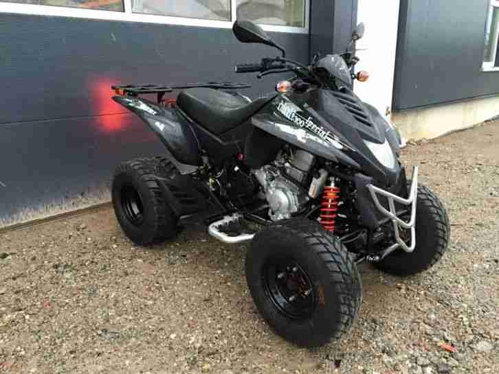 Quad ATV Dinli 300 cc EZ 06.11 TÜV/AU NEU Drehgas. guter Zustand