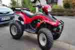 Quad ATV E Ton Yukon 150