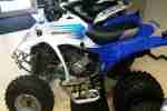 Quad ATV Herkules Adly 300 Interceptor