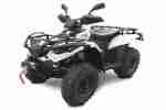 Quad, ATV, Linhai 300 ccm 4 x 4 IRS LOF mit