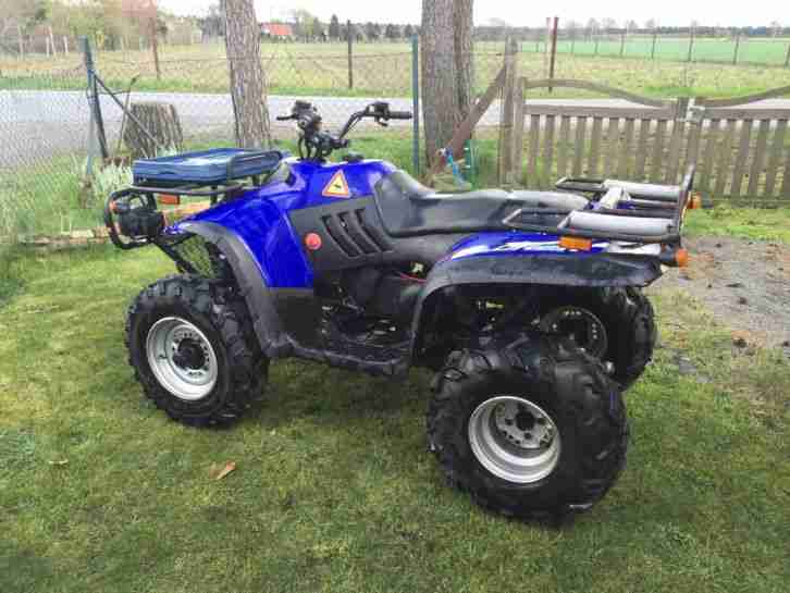 Quad ATV Linhai Explorer 4x2 Defekt!! Ideales Wald und Wiesen Fahrzeug !!