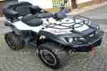Quad ATV TGB Blade 1000 EFI LoF 84 PS