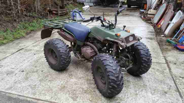 Quad ATV Yamaha Big Bear Yfm 350 FWT 4x4 Ackerschlepper Spaßquad Traktor 25 PS