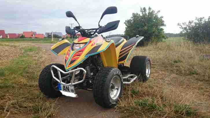 Quad Adly 300 S Sport - Komplettüberholung - Viele Neuteile - TOP
