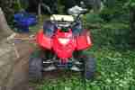 Quad Adly 50 Supersonic XXL