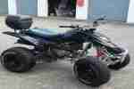 Quad Adly300