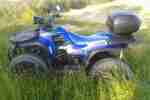 Quad Aeon Cobra 125 TÜV und AU Neu!! vom