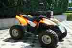 Quad Amstrong Industry 100ccm