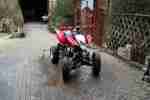 Quad Bashan 250