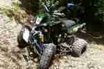 Quad Bashan 250, Sonder Lackierung, Neue