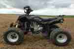 Quad Bashan BS250s 11b