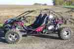 Quad Buggy Rattlesnake 400