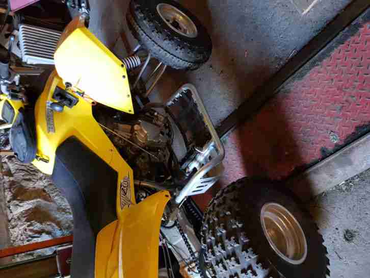 Quad Burelli 250