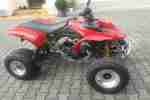 Quad Cannondale Cannibal Umbau Rotax 650