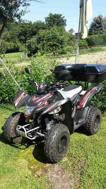 Quad Cobra 50 ccm