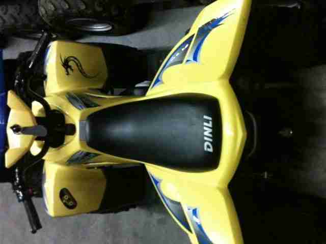 Quad DINLI Kinder 50 ccm Cobra Super Qualität*