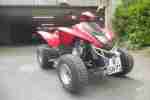 Quad Dinli 270ccm Modell 801 8 KW