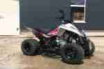 Quad Dinli 300 R EZ 03.14 1.Hand