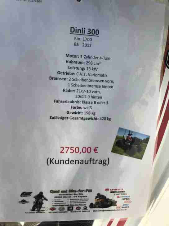 Quad Dinli 300 wenig Km