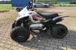 Quad Dinli 300 wenig Km