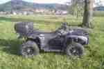 Quad Dinli Centhor 750 grau