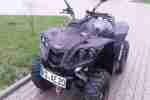 Quad Dinli Evo800