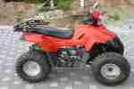 Quad Dinli Helix 100 ATV