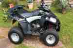 Quad E Ton Vector 300,Bj.8 2011 echte 968km