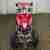 Quad Genata GT250l