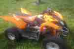 Quad Goes 220 ATV ohne Papiere