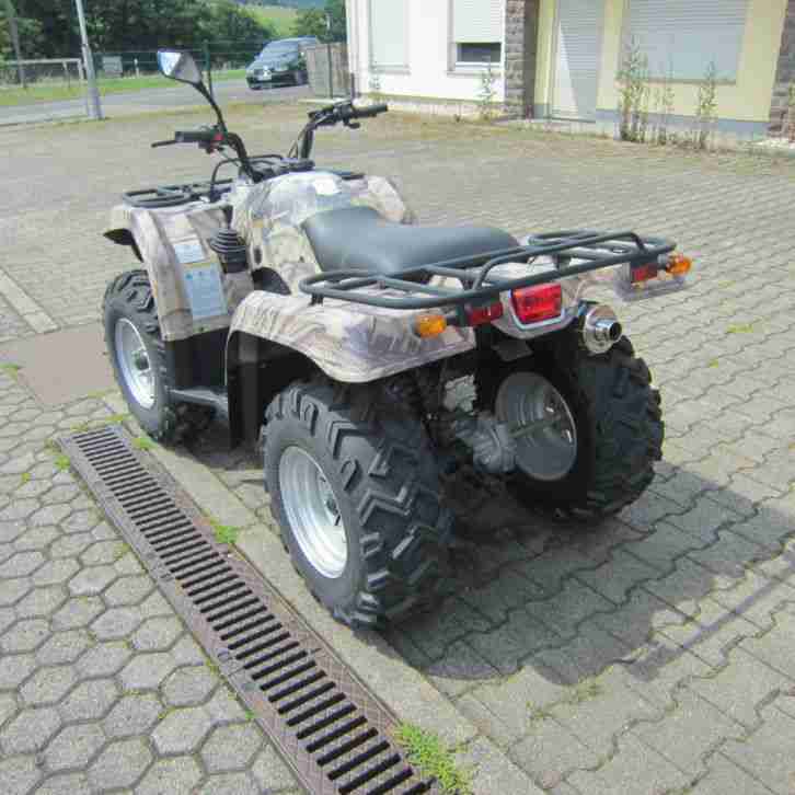 Quad HSNU HS400 ATV Chongqing Huasong 17 PS Hubraum 387