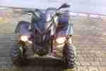 Quad Hercules Adly 220 Sentinel