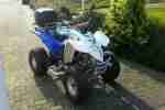 Quad Herkules Adly 300 Interceptor