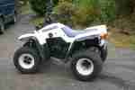 Quad Kawasaki Mojave KSF 250