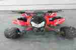 Quad Kinderquad 110ccm