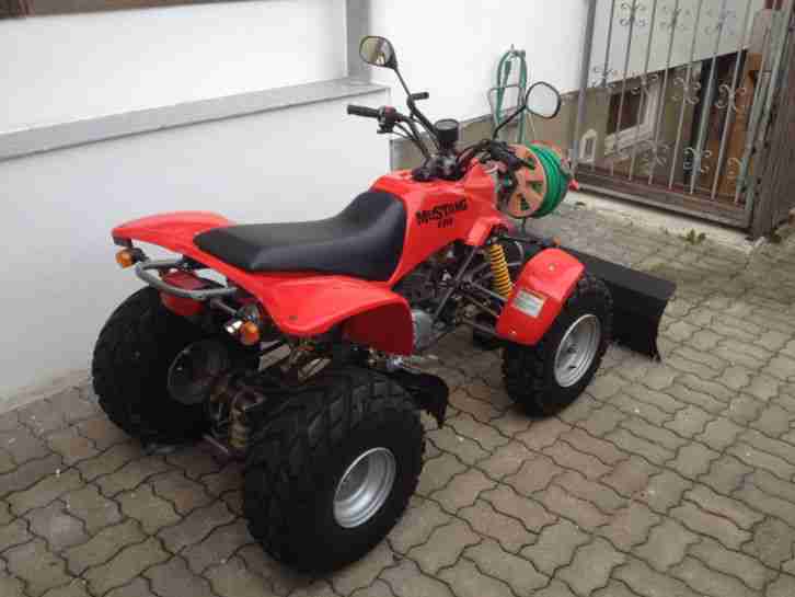 Quad Mustang 170 15 PS mit