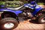 Quad Kymco kxr 250 Blau Gepäckträger Koffer