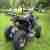 Quad Lyda Eagle