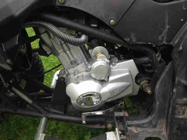 Quad Lyda Eagle