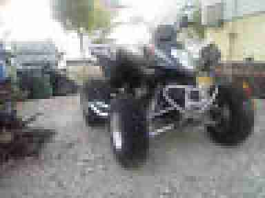 Quad, Maxxer 300