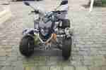 Quad Quadzilla 300s Xlc Stinger