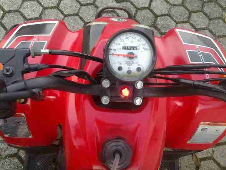 Quad REX 50 (mit Rollerkennzeichen)