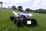 Quad ( SMC Barossa Ram 303 ) Explorer Trasher