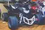 Quad Shineray 250 STX in Top Zustand ! im