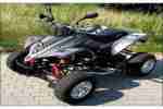 Quad Shineray 250cc STIXE Grau Carbon mit