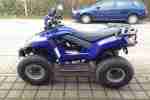 Quad Sym Quadlander 250