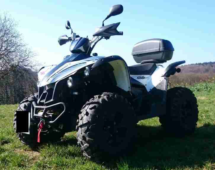 Quad TGB Target 550 IRS 4x4, LOF, Seilwinde, Topcase