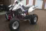 Quad Triton Baja 250 Scheckheft, mit viel